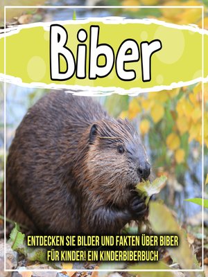 cover image of Biber
